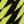 Black / Yellow