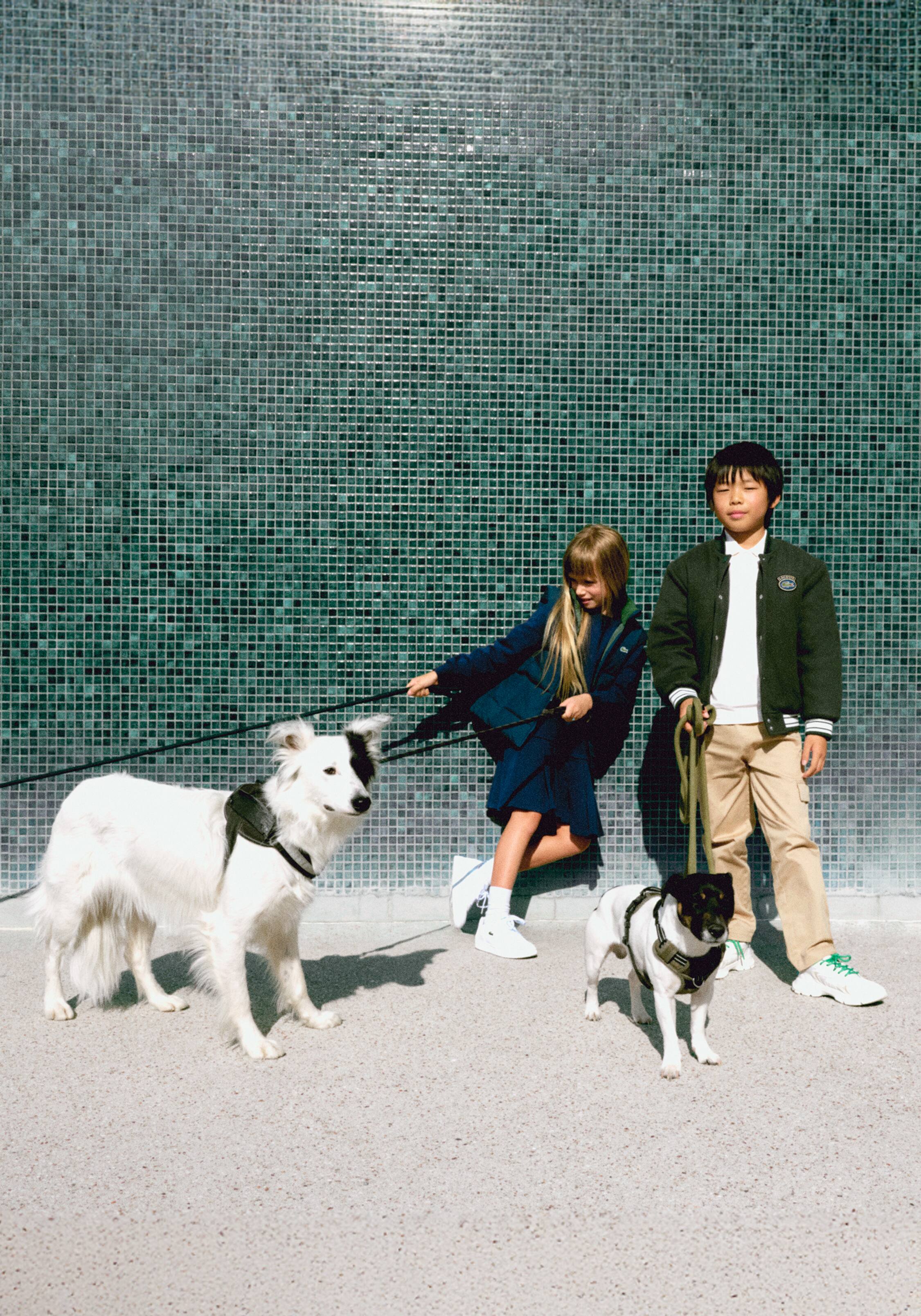LACOSTE MA-1スタイルジャケット ベージュ FR 48 / US S 撥水ボンバージャケット / 中綿 MA-1 フライトジャケット