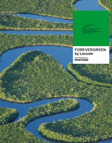 foreverglades