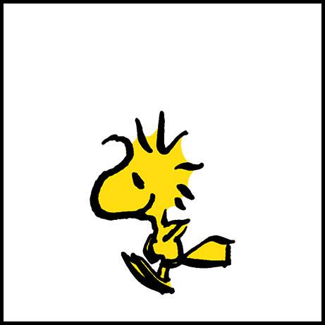 Lacoste x Peanuts | LACOSTE