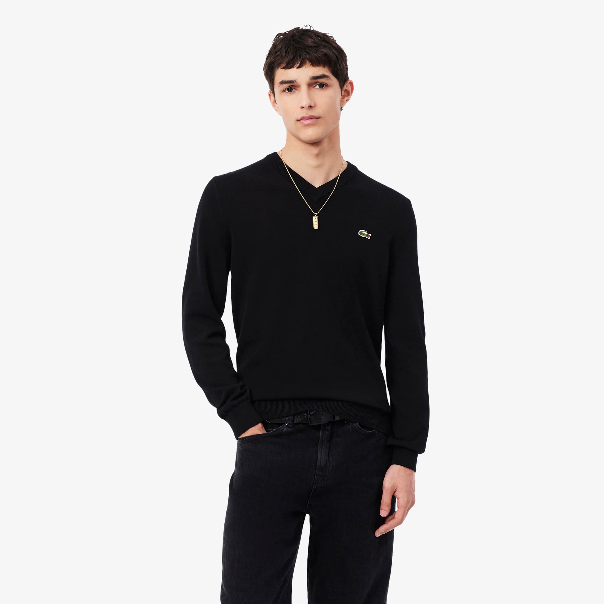 Men's Cotton V-Neck Sweater - Sweaters & Sweatshirts - New In 2026