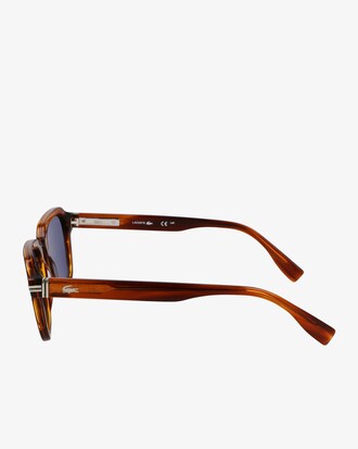 The Line Acetate Rectangle Glasses