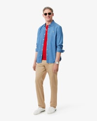 Regular Fit Cotton Chino Pants