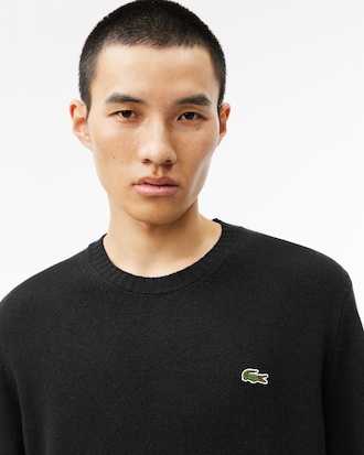 Men's Wool Crew Neck Sweater