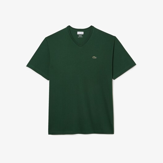 Big & Tall LACOSTE