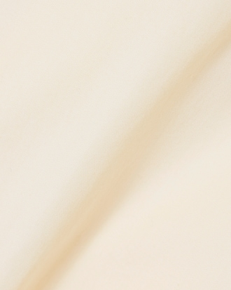 Regular Fit Cotton Twill Chino Pants