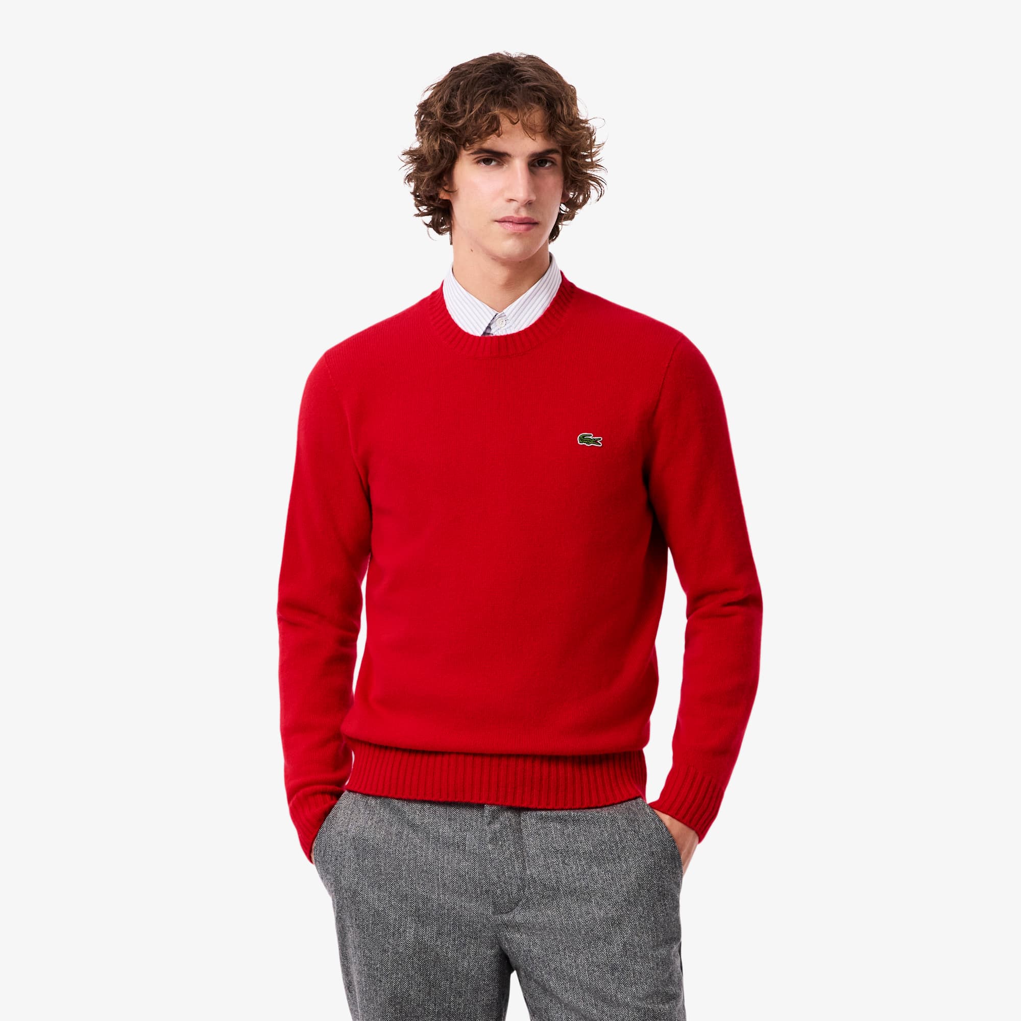 Men's 3D Knit Cashmere Crew Neck Sweater - Sweaters & Sweatshirts