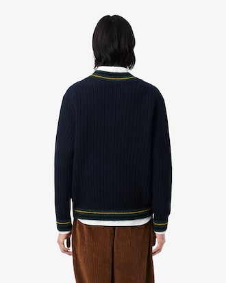 Striped Wool V Neck Sweater