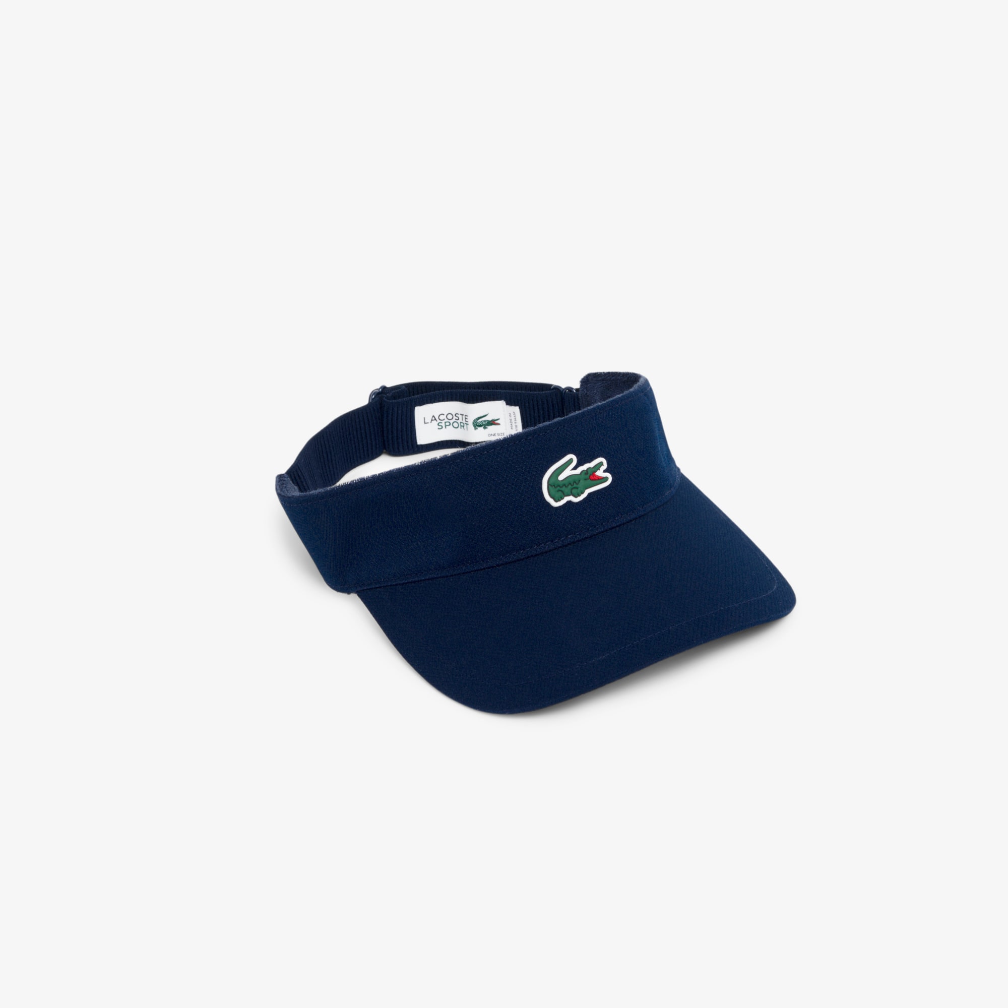 VISORS