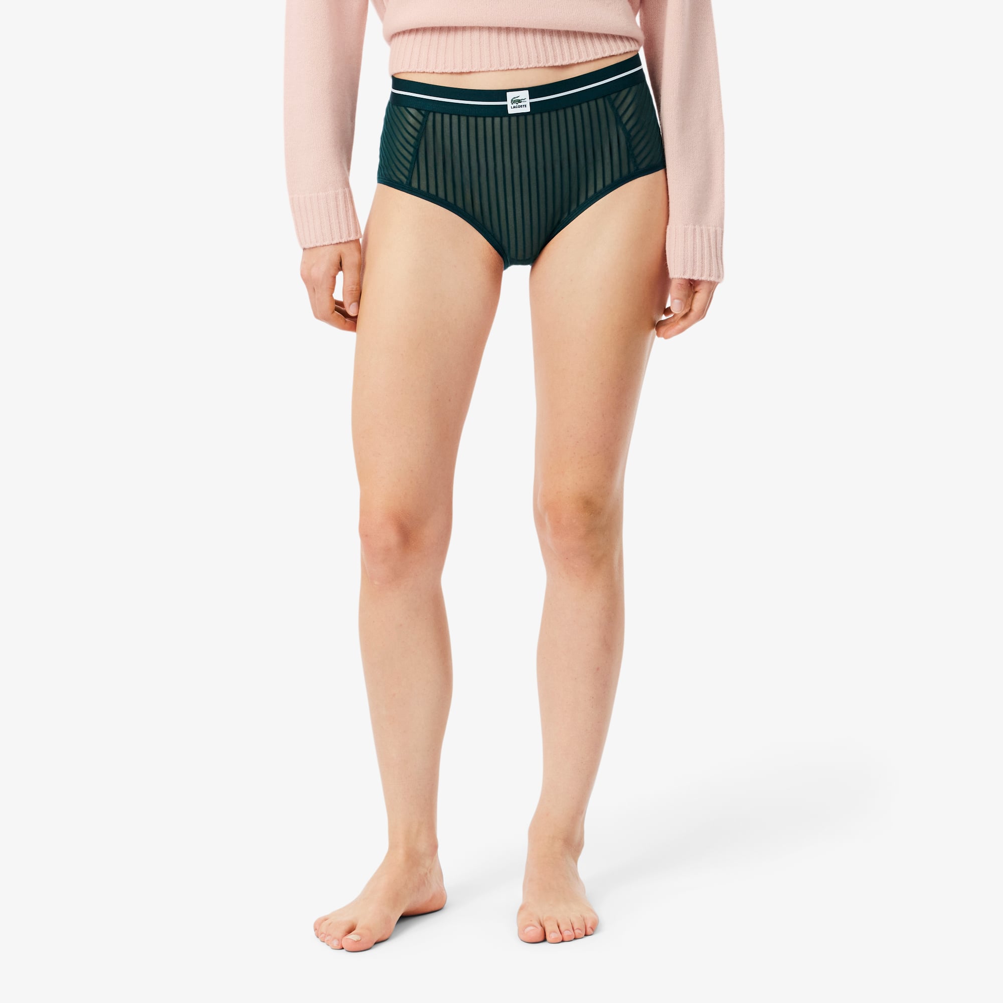 High Waist Velour Stripe Mesh Briefs