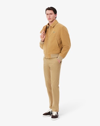 Men's Regular Fit Cotton Chino Pants