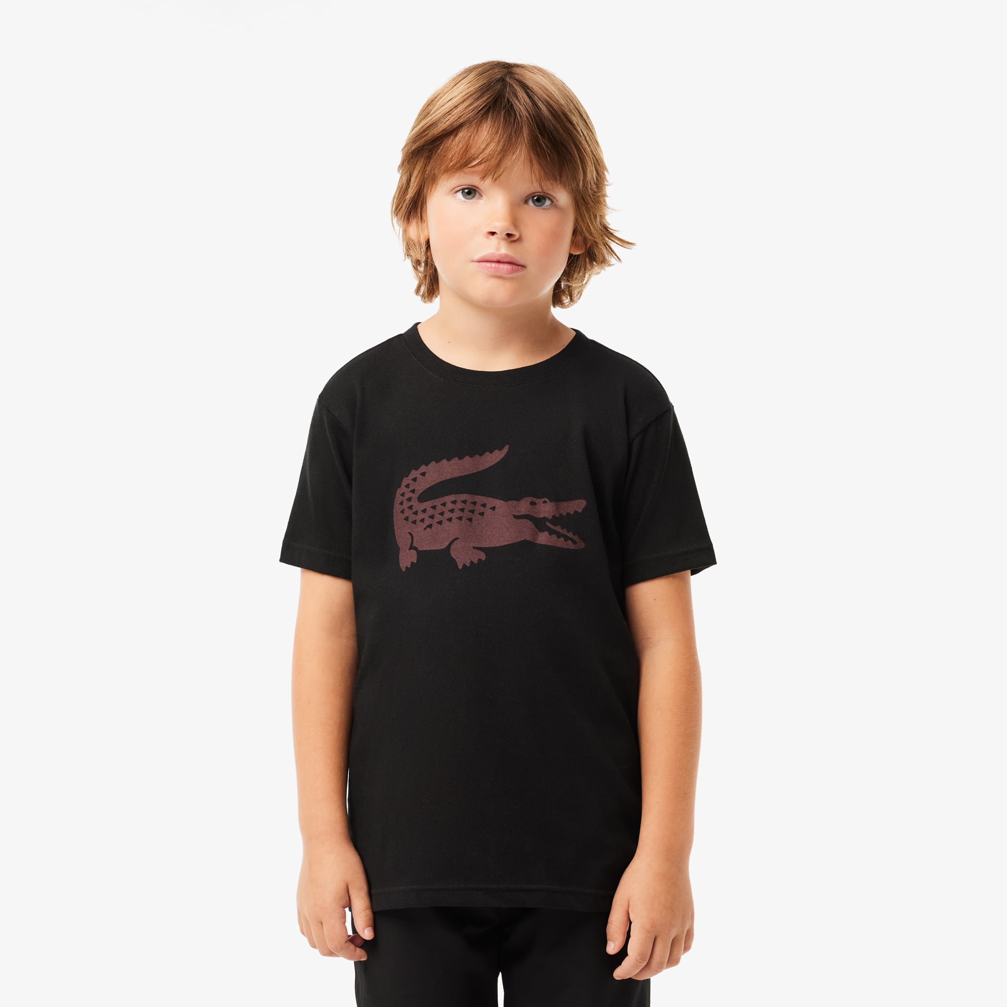 LACOSTE★NEW ARTWORK Tシャツ shirt with logo Lacoste - SchaferandweinerShops Gambia
