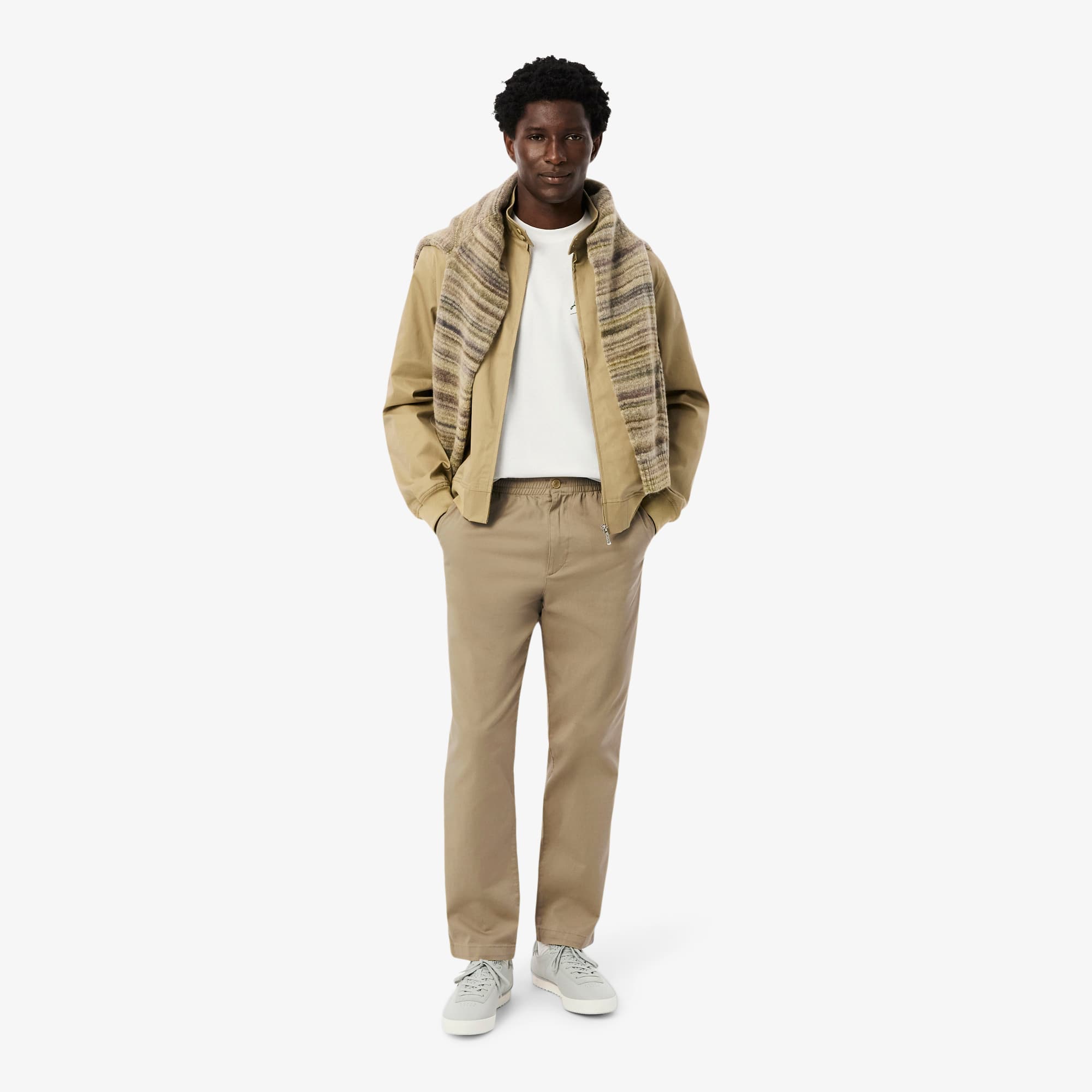 Men's Regular Fit Cotton Chino Pants - Pants & Sweatpants - New In