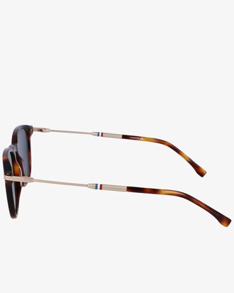 Men's Multicolored Rectangle Acetate Glasses