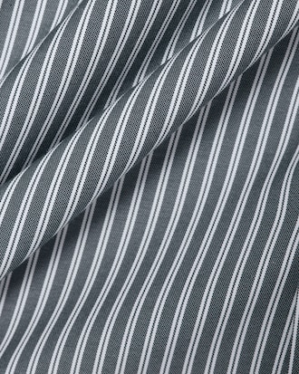Regular Fit Striped Pinpoint Shirt