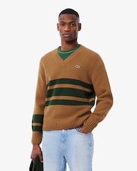 Men's Striped Wool V-Neck Sweater