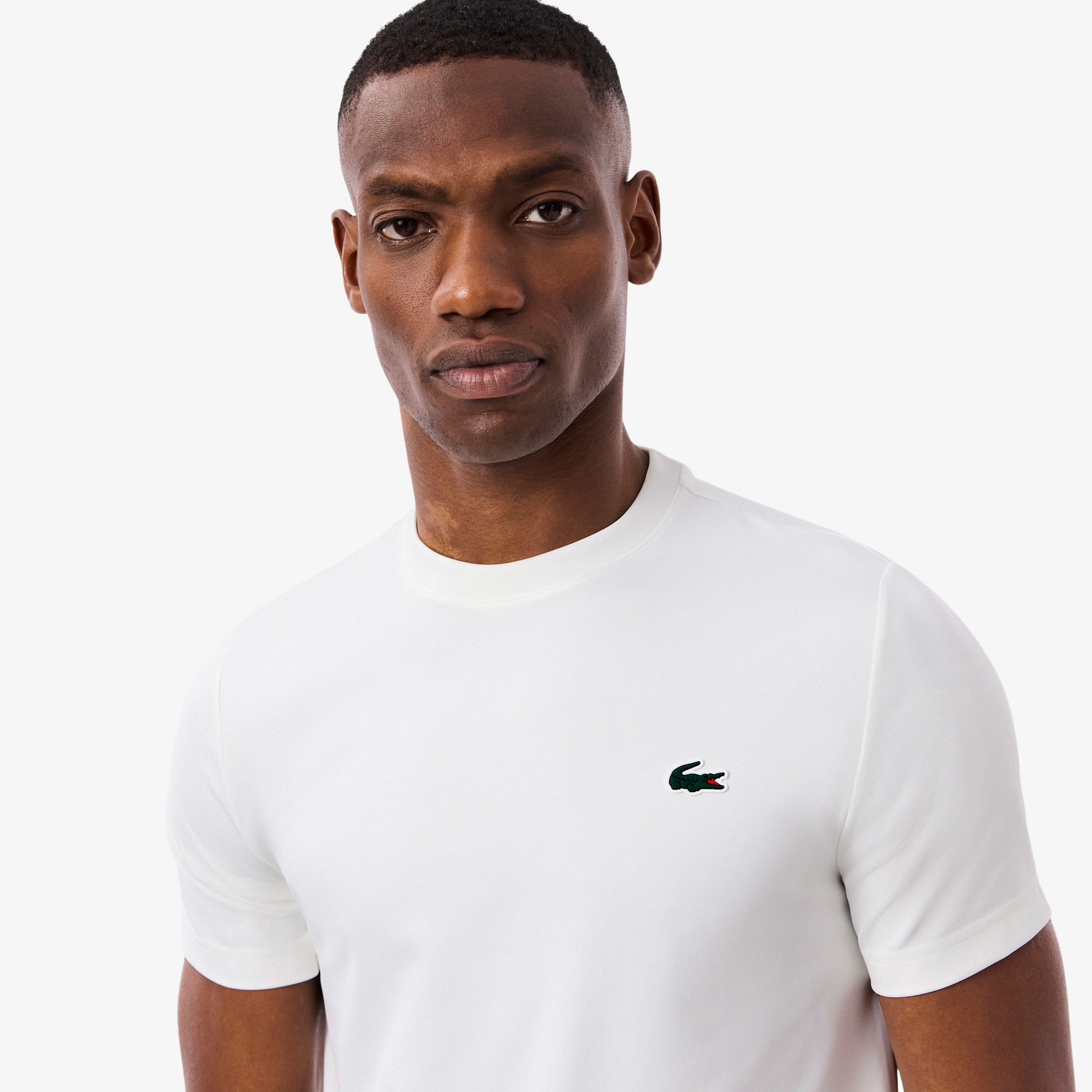 ラコステ トップス 楽天市場】LACOSTE（ラコステ） ベーシック ロングスリーブTシャツ