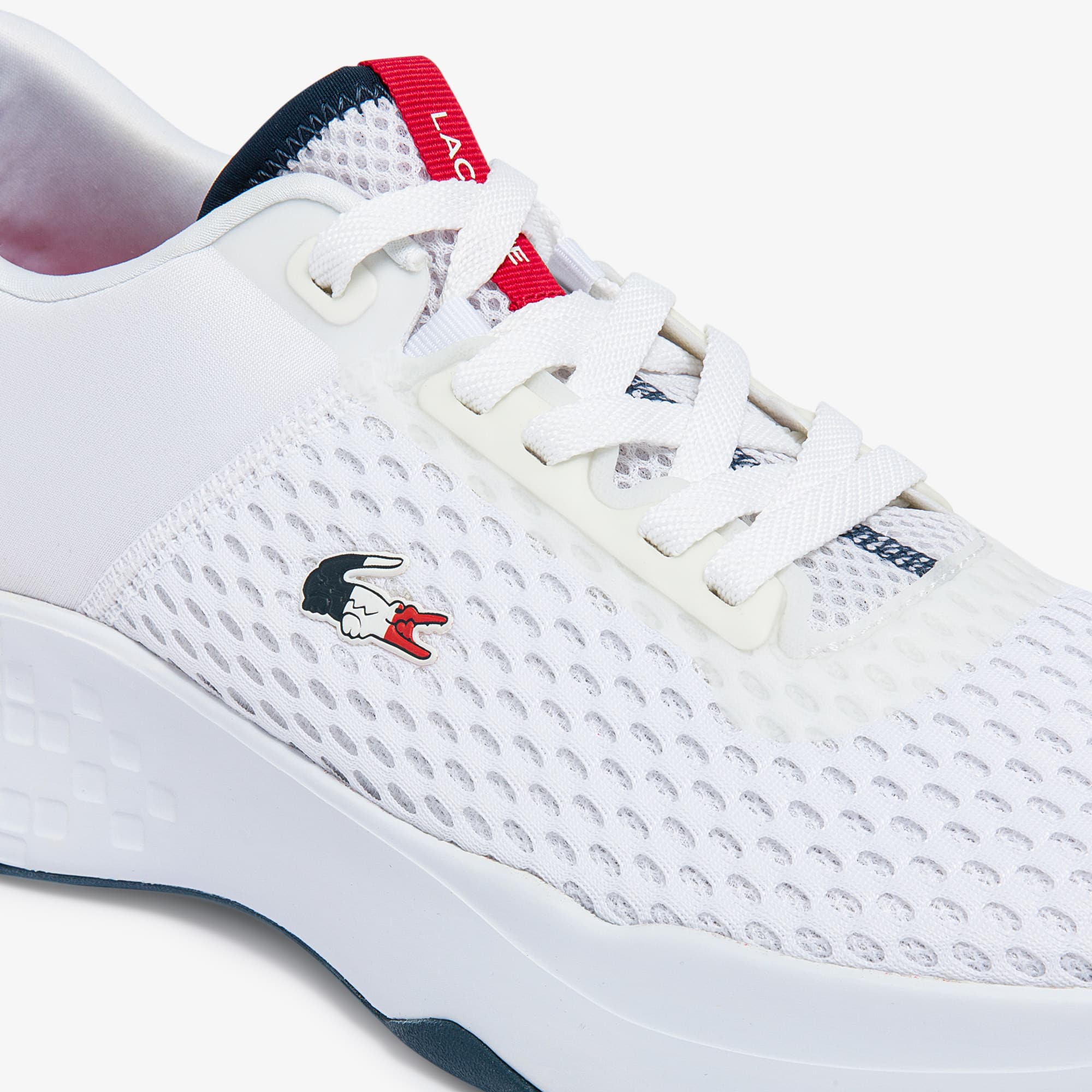 lacoste sport shoes