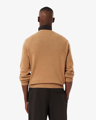 Men's Wool Crew Neck Sweater
