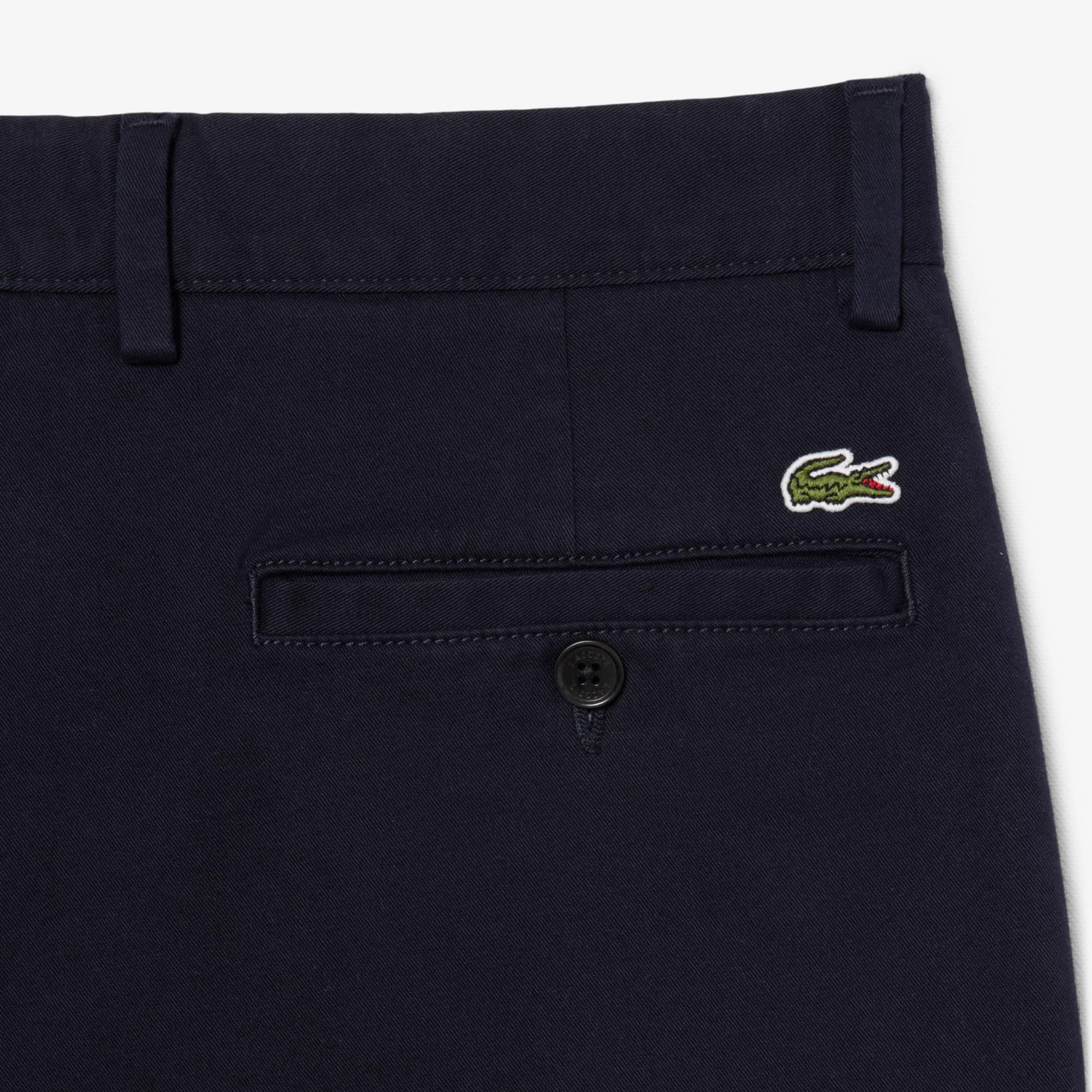 Regular Fit Cotton Chino Pants