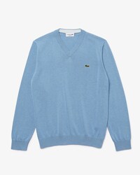 Men's Cotton V-Neck Sweater