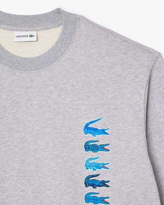 Printed Sweatshirt - Plus Size - Big