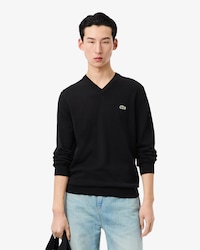 Men's Cotton V-Neck Sweater