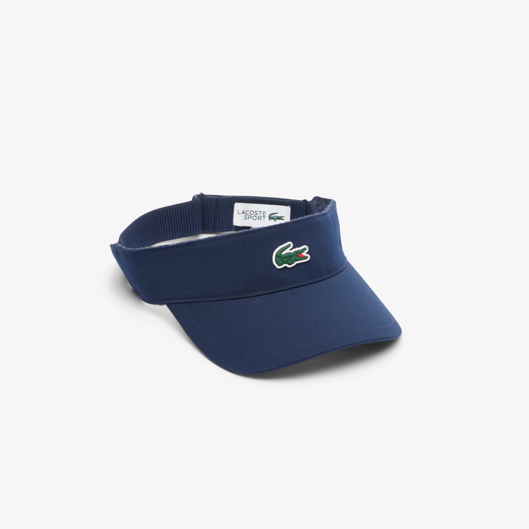 VISORS