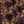 Purple / Brown