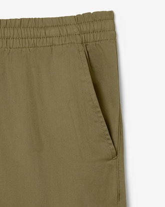 Men's Regular Fit Cotton Chino Pants
