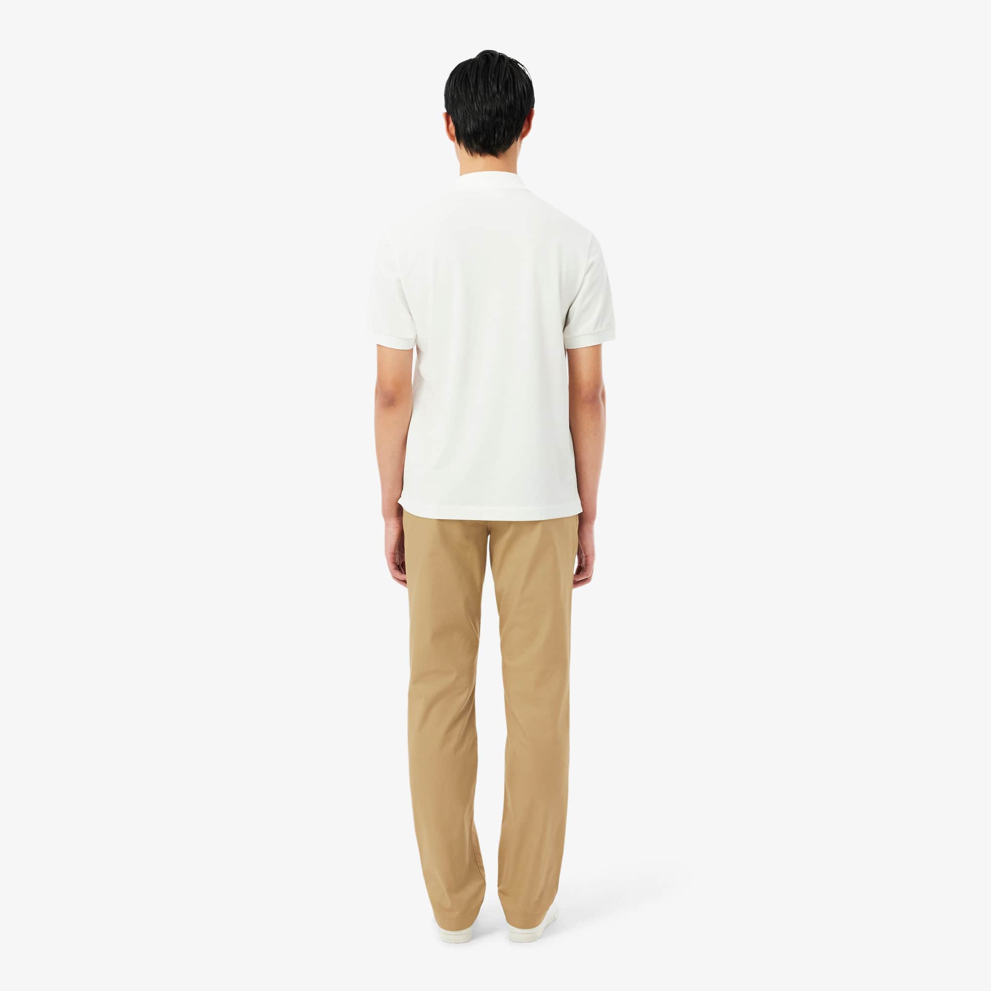 Men's Regular Fit Cotton Chino Pants - Pants & Sweatpants - New In