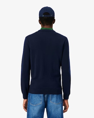 Men's Cotton V-Neck Sweater