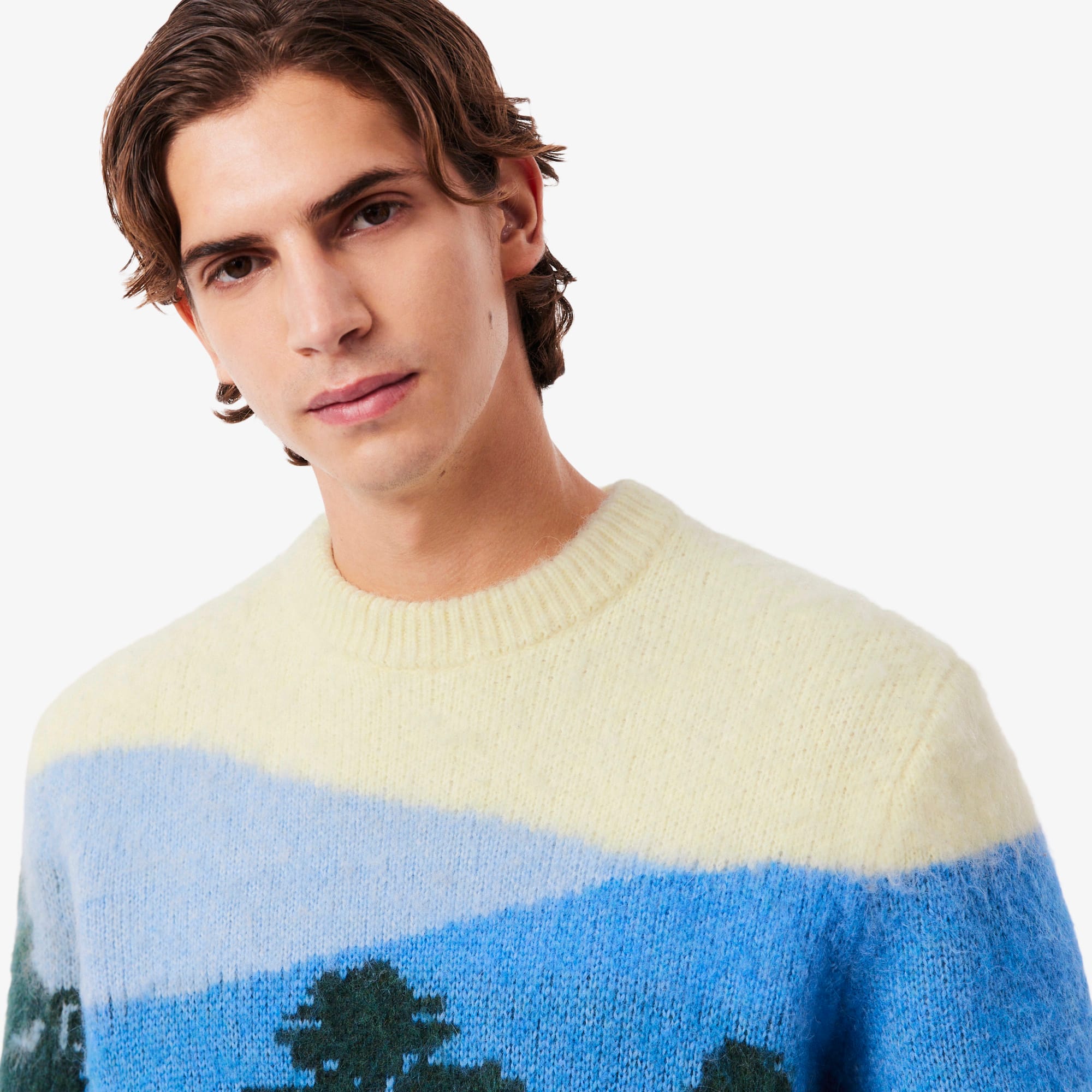 Men's Landscape Alpaca Wool Sweater - Sweaters & Sweatshirts - New