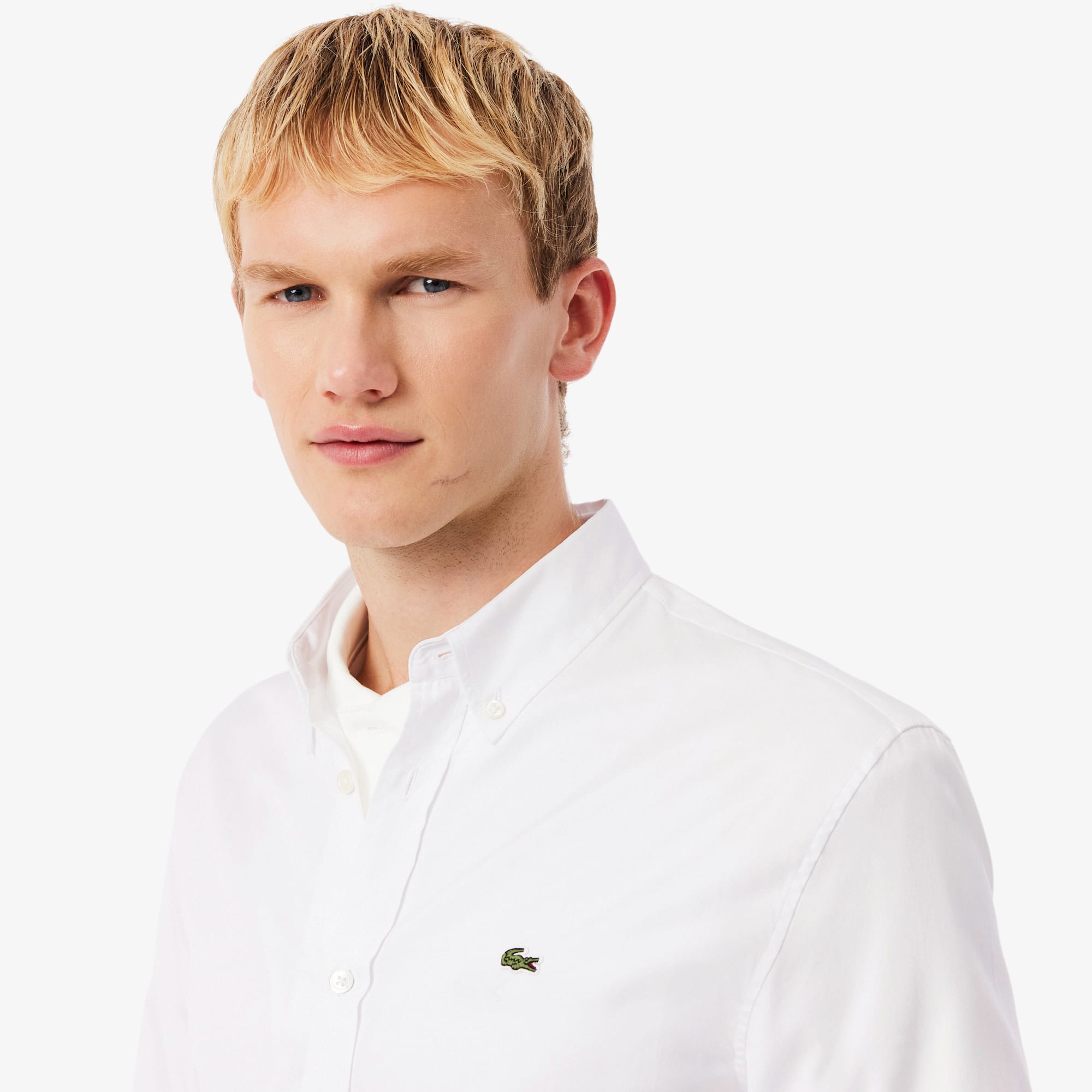 Men's Regular Fit Cotton Shirt - Button Down Shirts - New In 2026