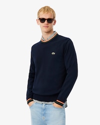 Men's Striped Cotton Jersey Sweater