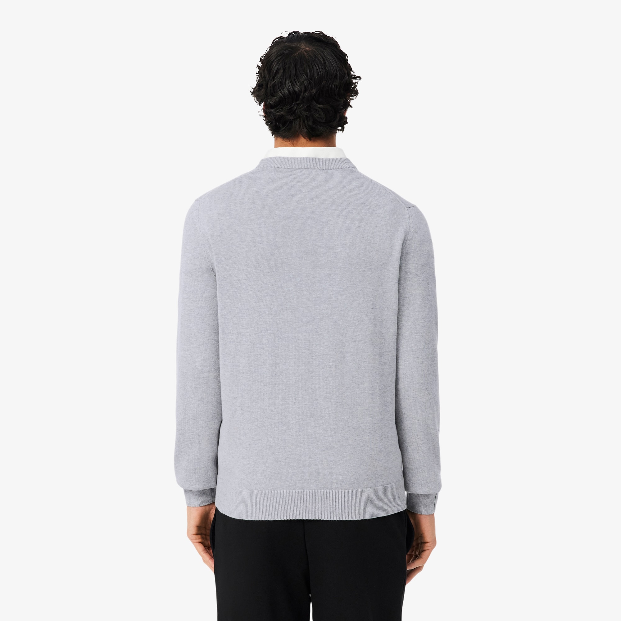 Men's Crew Neck Cotton Sweater - Sweaters & Sweatshirts - New In