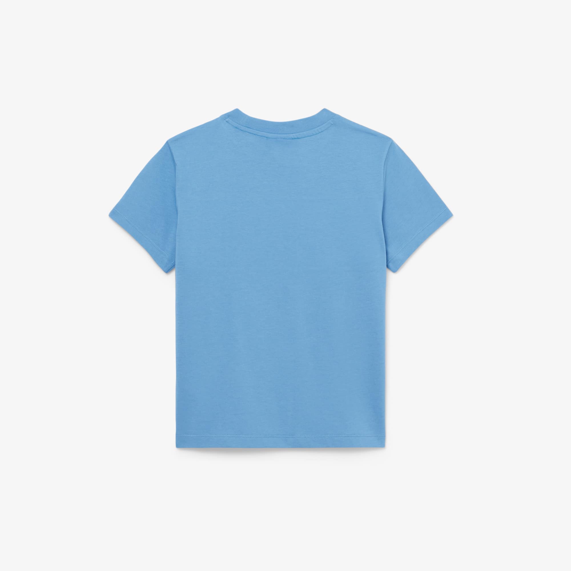 Cotton Colorblock T-Shirt