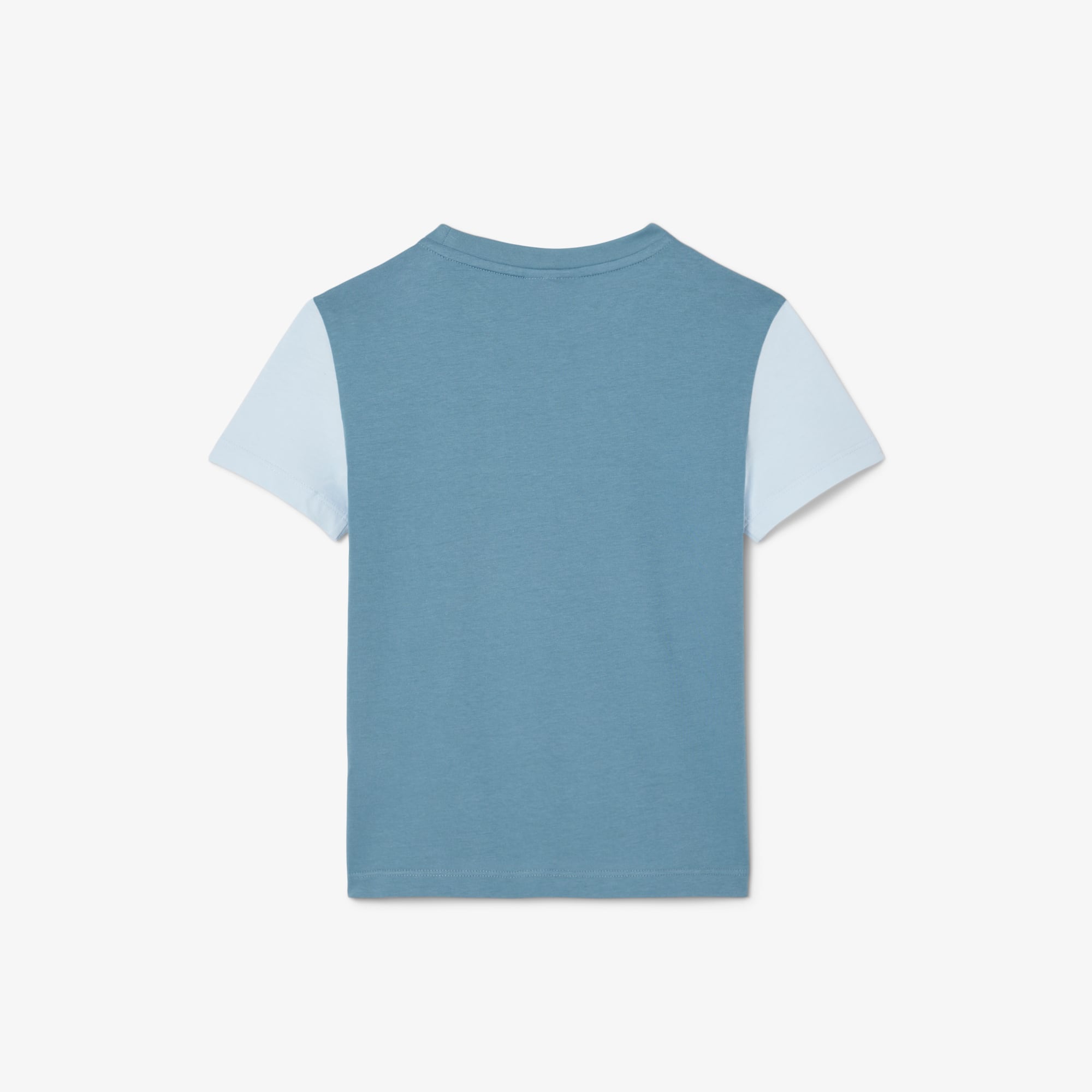 Kids' Cotton Colorblock T-Shirt - Teens T-Shirts & Tops - New In