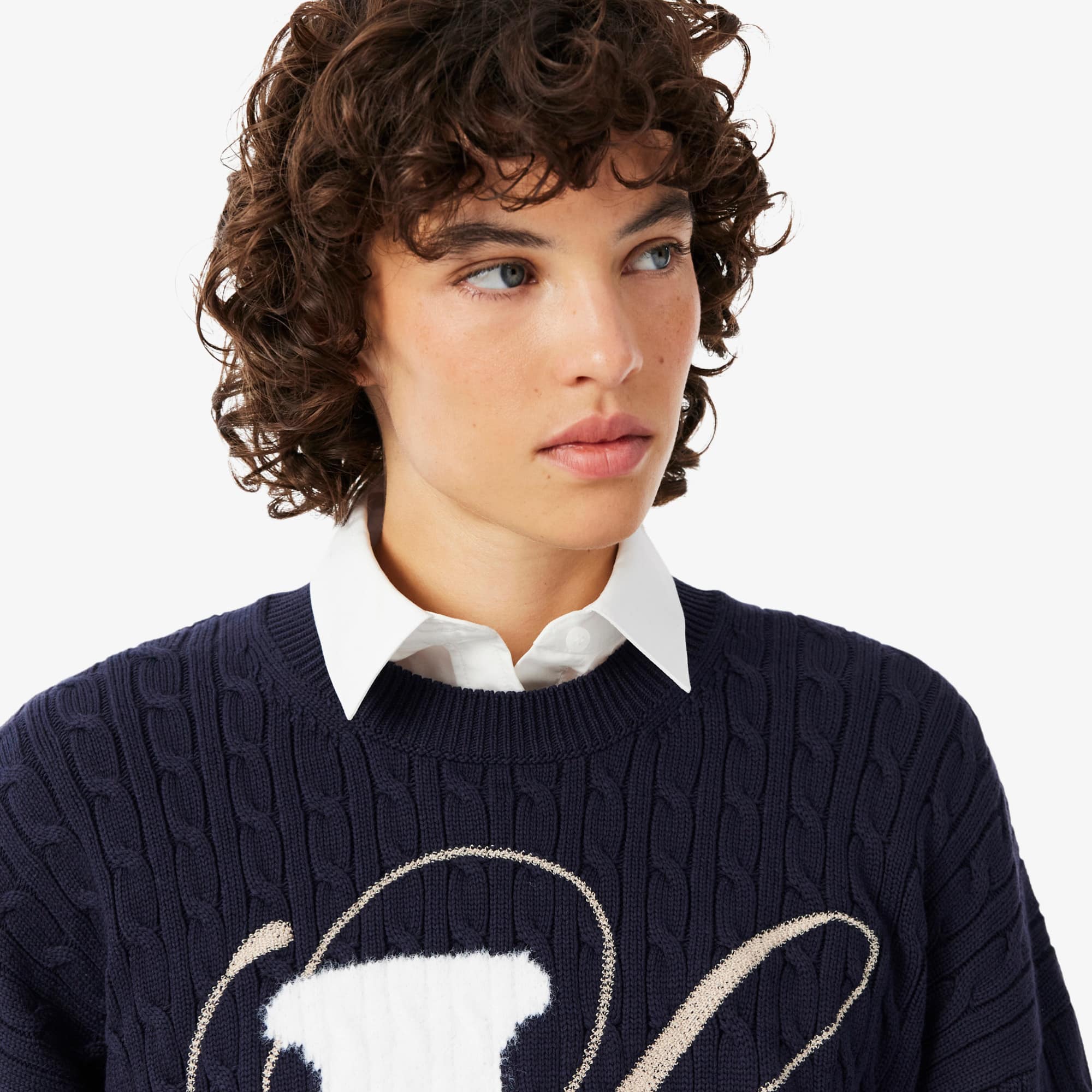 Embroidered Intarsia Cable Knit Sweater - Sweaters & Sweatshirts