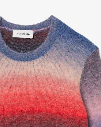 Women's Crew Neck Ombré Sweater
