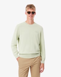 Cotton Crew Neck Sweater