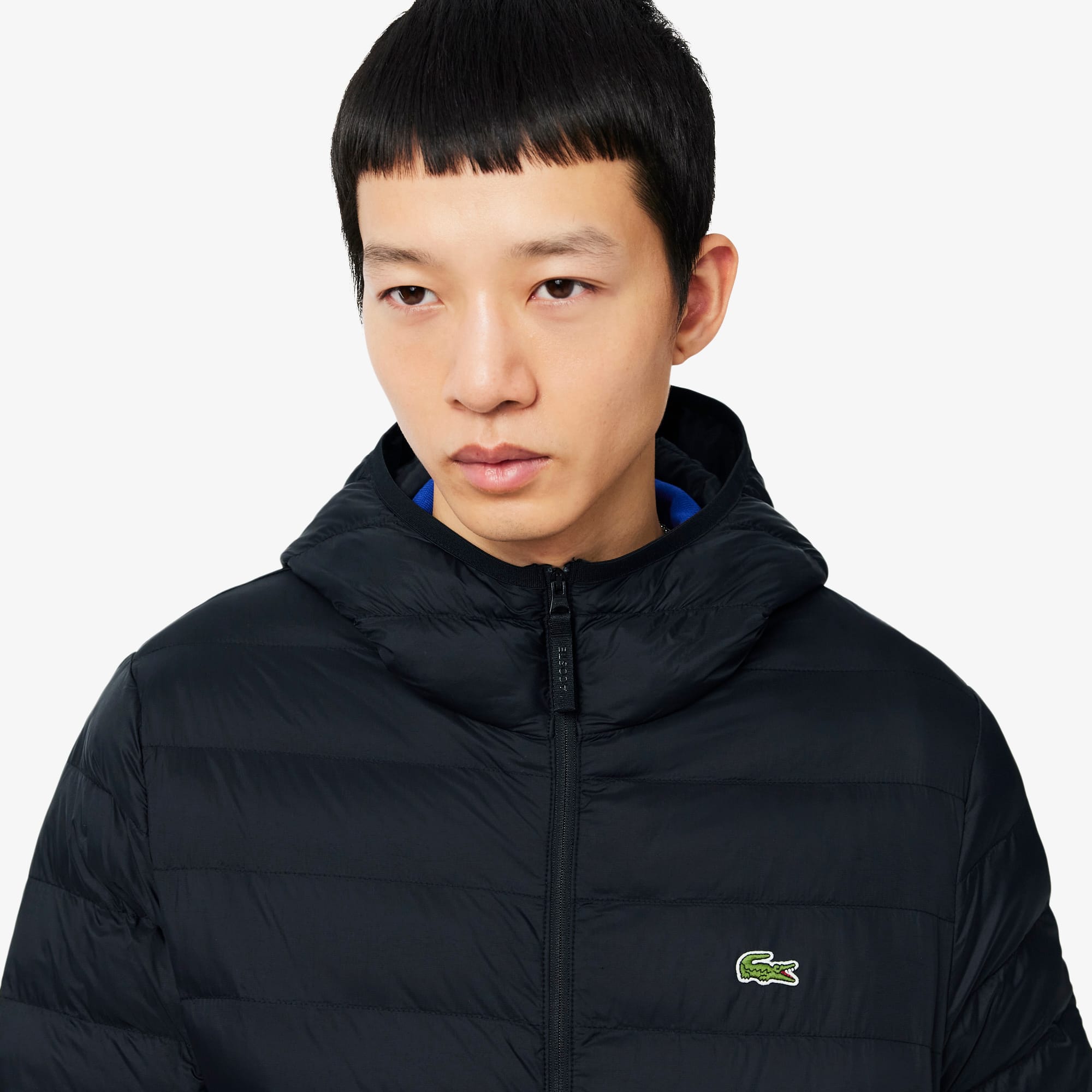 Water-Repellent Down Windbreaker