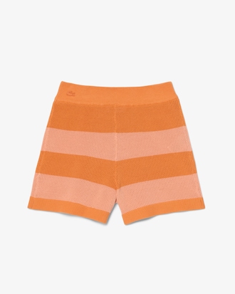 Striped Mesh Knit Shorts