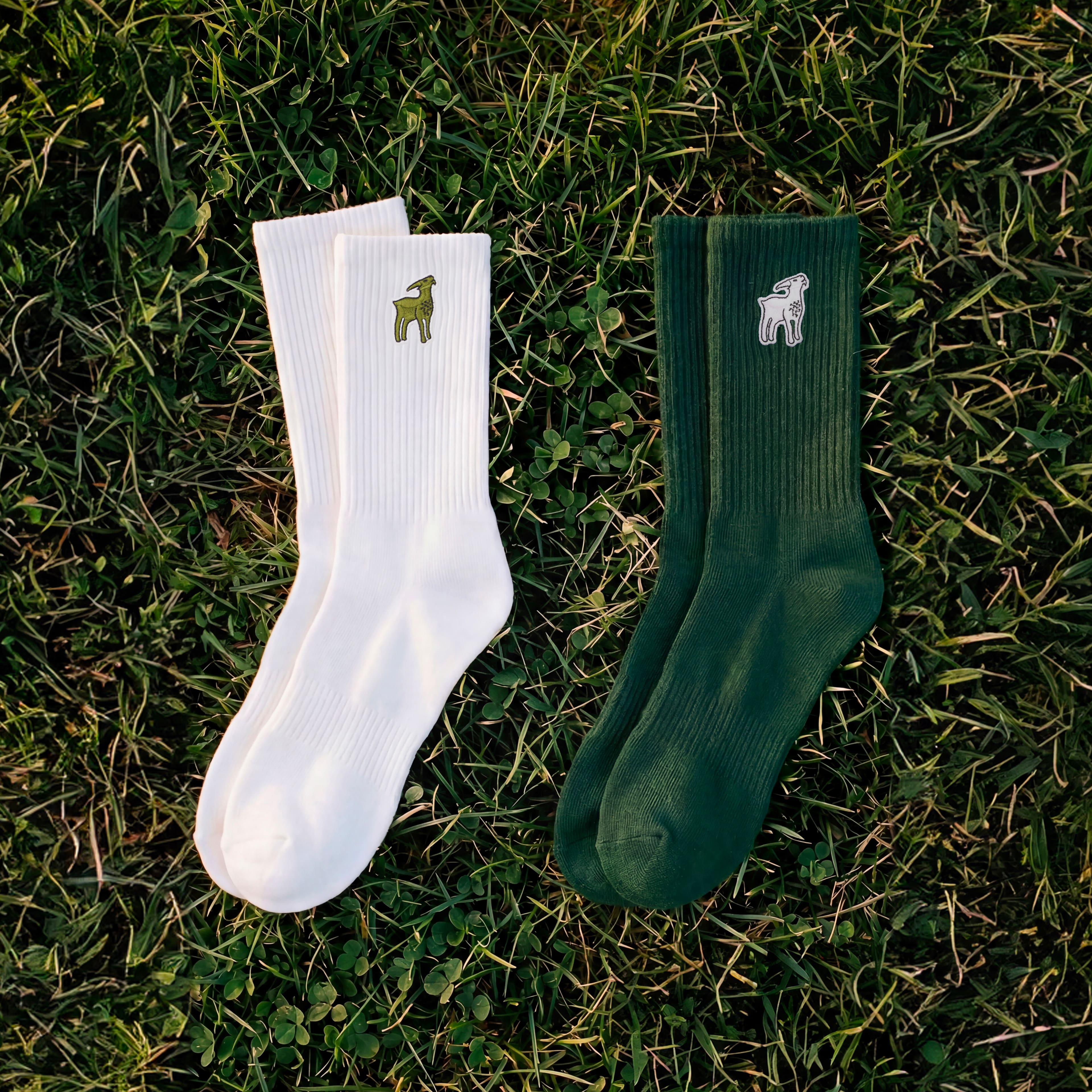Lacoste x Novak Djokovic Socks The GOAT