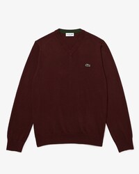 Men's Cotton V-Neck Sweater