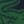 Navy Blue / Green / Navy Blue