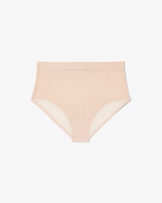 High Waist Mesh Briefs