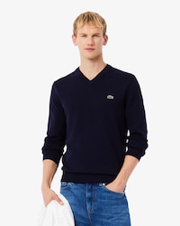 Men's Cotton V-Neck Sweater