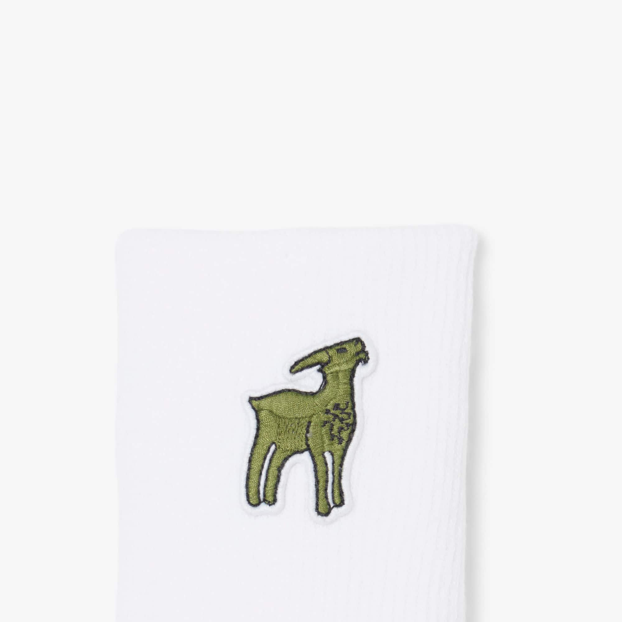 ラコステ ジョコビッチ GOAT リストバンド Lacoste x Novak Djokovic The GOAT Wristbands - undefined - New In