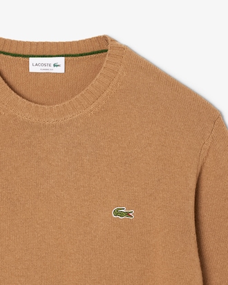 Men's Wool Crew Neck Sweater